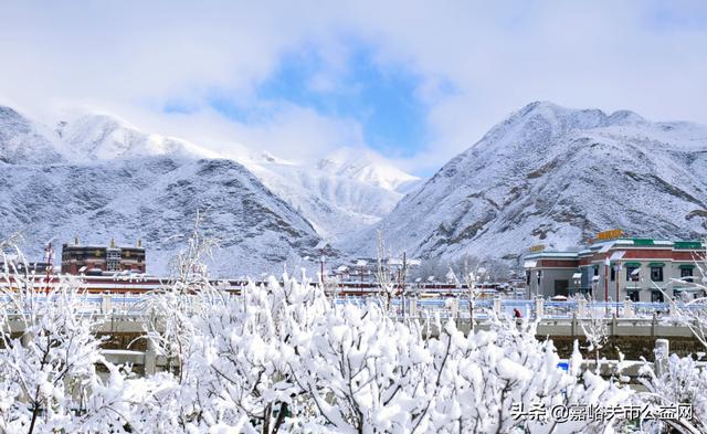 甘肃积雪大雪（甘肃5月突降大雪）(4)