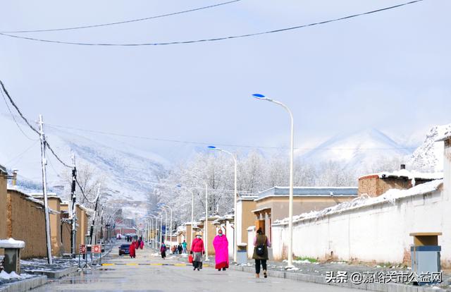 甘肃积雪大雪（甘肃5月突降大雪）(27)