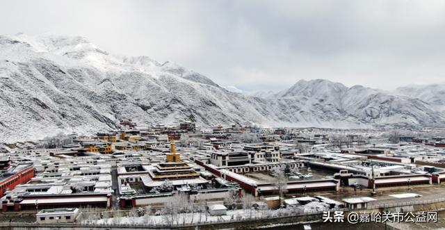 甘肃积雪大雪（甘肃5月突降大雪）(17)