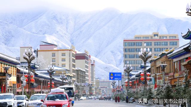 甘肃积雪大雪（甘肃5月突降大雪）(31)