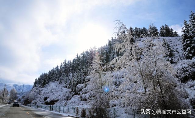 甘肃积雪大雪（甘肃5月突降大雪）(12)