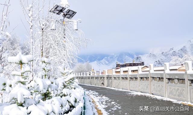 甘肃积雪大雪（甘肃5月突降大雪）(8)