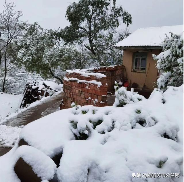 甘肃积雪大雪（甘肃5月突降大雪）(55)