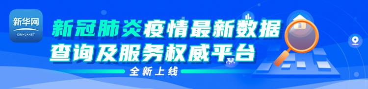 巴黎圣母院大火修复情况（被大火吞噬一周年后）(10)