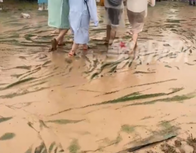 ​哈哈哈！音乐节现场遇大雨歌迷变身小泥人