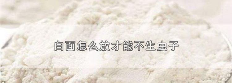 面粉里生虫怎么办?