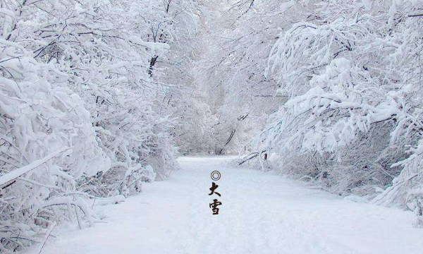 大雪节气的含义是什么,大雪节气的由来和风俗图片图1