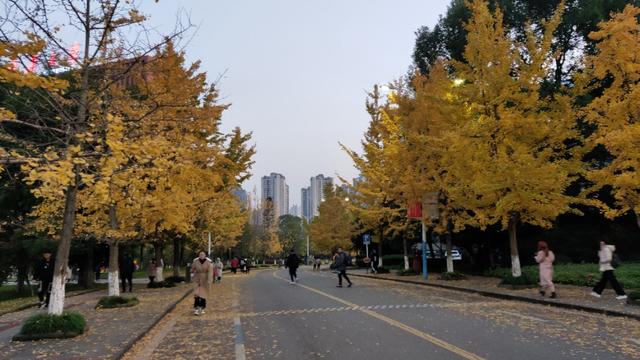 重庆大学虎溪校区全貌（重庆大学虎溪大学城校区）(5)