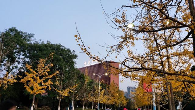 重庆大学虎溪校区全貌（重庆大学虎溪大学城校区）(9)