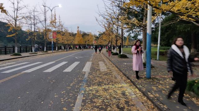 重庆大学虎溪校区全貌（重庆大学虎溪大学城校区）(4)