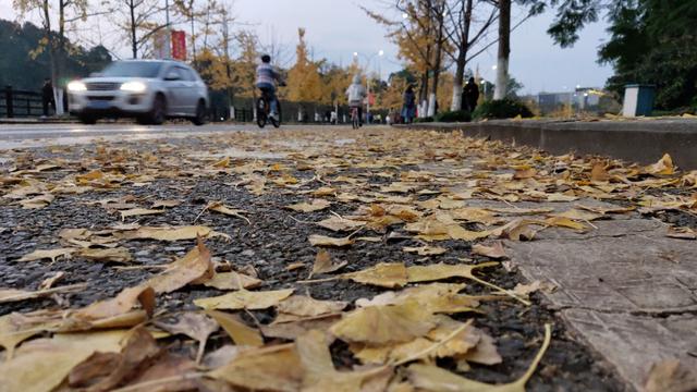 重庆大学虎溪校区全貌（重庆大学虎溪大学城校区）(6)