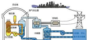 核电原理为什么建在海边：为什么核电站大多建立在海边