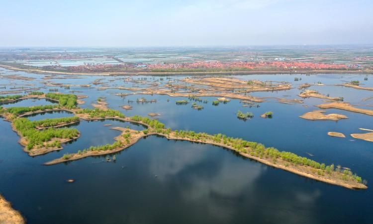 大沽河入海口具体地点在哪