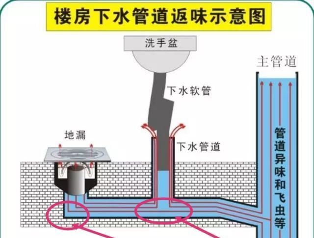 卫生间一到冬天就反味咋回事，卫生间冬天和夏天哪个反臭味严重？图6