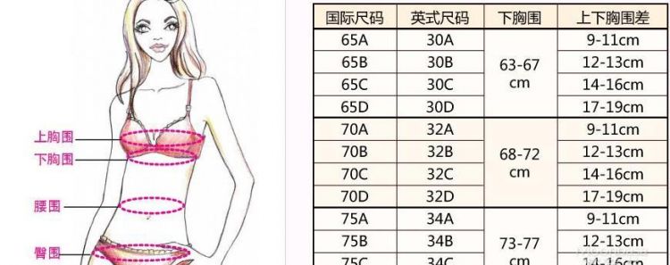 胸罩中的ABCD是什么意思啊