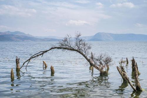 第四天：大理古城—泸沽湖—泸沽湖—洱海—永宁古镇—丽江古城——蝴蝶泉（温泉）—西双版纳—香格里拉机场（机场）