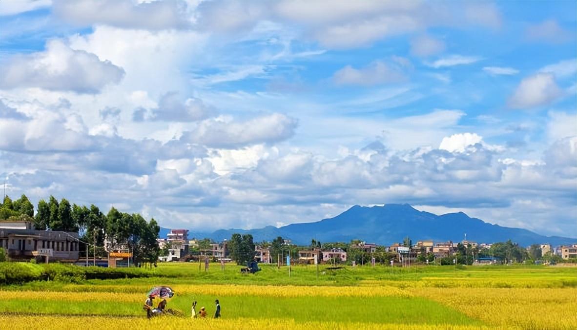 雷州和吴川哪个好(吴川和雷州哪个发达)