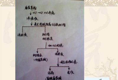 ​麻黄素提取，马黄碱是从什么中提取的？