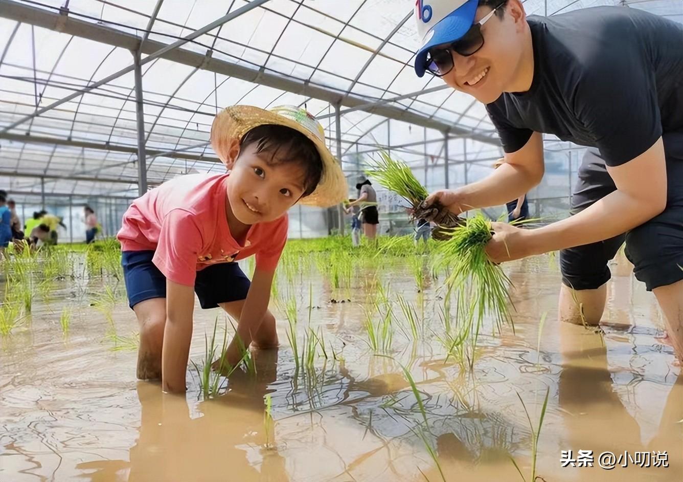 百克力是什么民族(央视主持人百克力是什么民族)