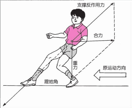 排球准备姿势有哪几种(排球准备姿势的目的是什么)