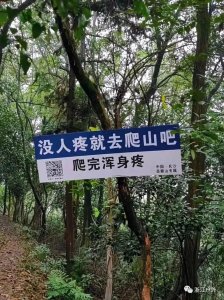 ​火了！“没人疼就去爬山吧，爬完浑身疼……”