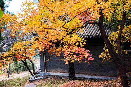 一、北京香山