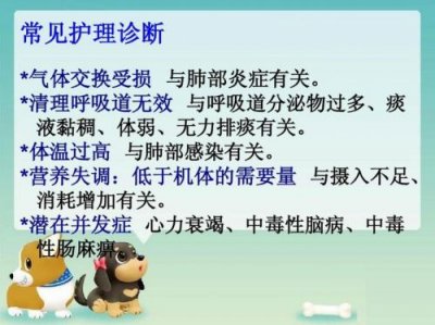 ​支气管肺炎的症状表现  宝宝支气管肺炎的症状