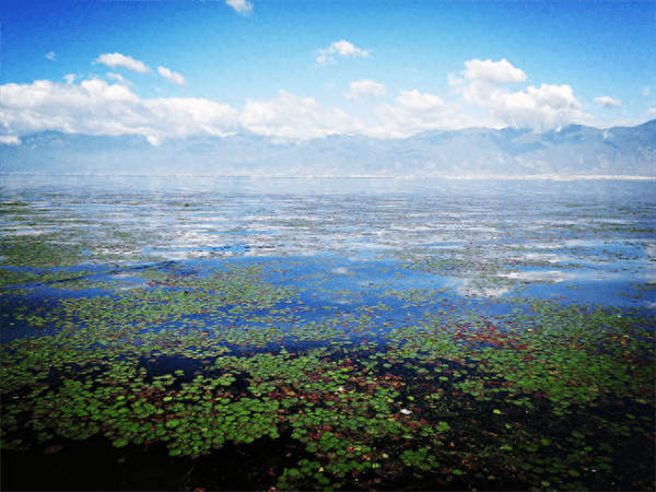 洱海环海一圈多少公里(自驾环洱海一圈几小时)