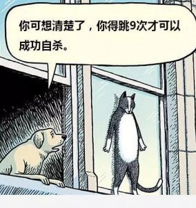 ​为什么会有“好奇害死猫”这个说法？