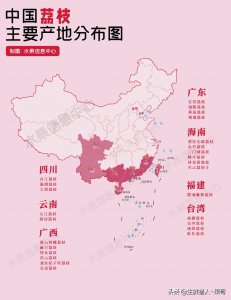 ​中国荔枝产地有哪些（中国荔枝分布图及15种品种介绍）