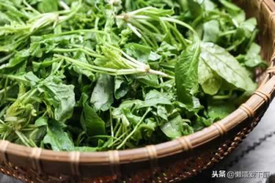 ​荠菜素馅饺子怎样调馅？牢记“忌3事”，鲜香贼好吃