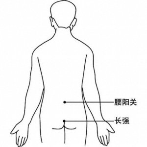 ​长强：主治 泄泻，便血，便秘，痔疾，脱肛；癫痫