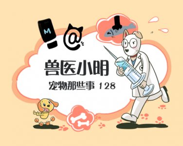 ​狗为什么会吐呢？这和铲屎官的喂养有着很大的关系，可不要马虎