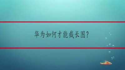 ​怎么截长图华为荣耀(华为荣耀手机怎么截屏长图片)