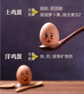 ​鸡蛋有多少克（一个正常鸡蛋有多少克）