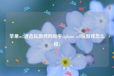 ​苹果se2适合玩游戏吗知乎(iphone se2玩游戏怎么样)