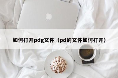 ​如何打开pdg文件（pd的文件如何打开）