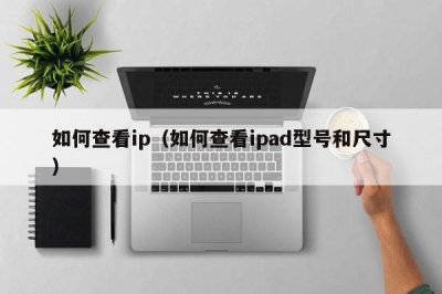 ​如何查看ip（如何查看ipad型号和尺寸）