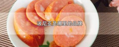 ​波妞是哪个国家的品牌 波西尼品牌