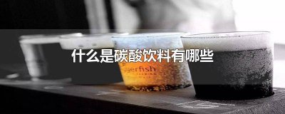 ​健康的碳酸饮料有哪些 果味碳酸饮料有哪些