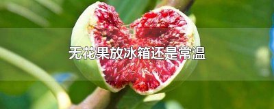 ​无花果能否放冰箱保鲜 无花果可以放冰箱冷藏保存吗