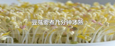 ​豆芽要煮几分钟才熟 豆芽要煮几分钟才熟绿