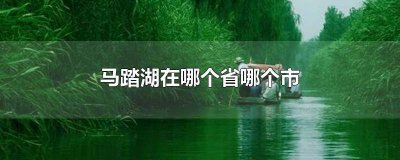 ​马踏湖为什么叫马踏湖 马踏湖面积多大