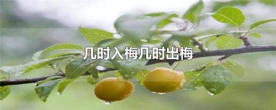 ​今什么时候入梅 今年几日入梅几日出梅