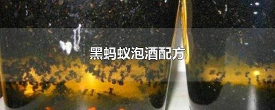 ​黑蚂蚁泡酒配方大全 黑蚂蚁泡酒配方及功效作用