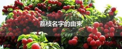 ​荔枝名字的含义是什么 荔枝又名什么