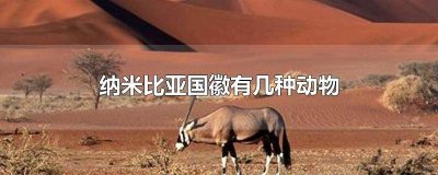 ​纳米比亚野生动物园 纳米比亚有哪些动物图片及名称