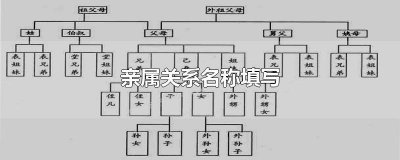 ​亲属关系英语怎么读 英语中的亲属关系