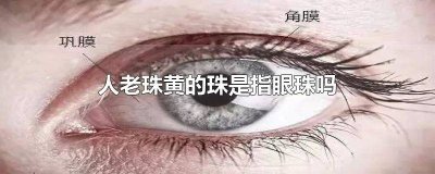 ​人老珠黄是指眼珠子老了变黄吗 人老珠黄是眼白变黄吗