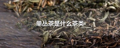 ​雪片单丛茶是什么茶类别 雪片单丛茶有什么功效